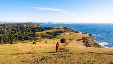 Traveller walking a path on the coastal landscape of Maria Island, Australia