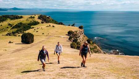 Tasmania's Maria Island Walk (Portered) - 3