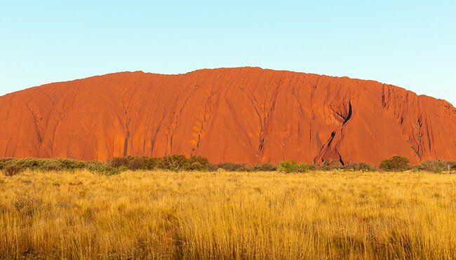 Uluru, lit by the sunset against a blue sky and the yellow green scrub.