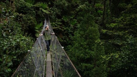 In the depths of the Tarkine (takayna) Rainforest