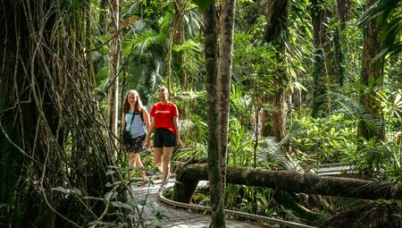 Traveller and leader laugh together while walking through dense rainforest on a raised boardwalk in Cape Tribulation