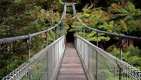 Corrigan suspension Bridge in the rainforest in South Gippsland, Austalia