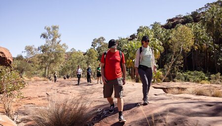 Intrepid leader heads a group through Ntaria gorge's palm dotted desert