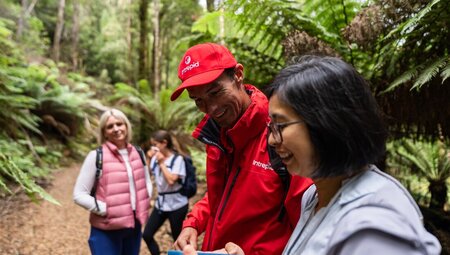 Intrepid traveller shows leader photos taken in the rainforest so far in Tarkine region of Tasmania
