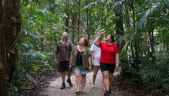 Guided tour of the rainforest at Chili Beach with Intrepid leader Rachel in Far North Queensland