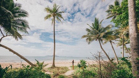 18 to 35s traveller emerges from bright green palm forest onto Mission Beach in Hull River National Park, Queensland