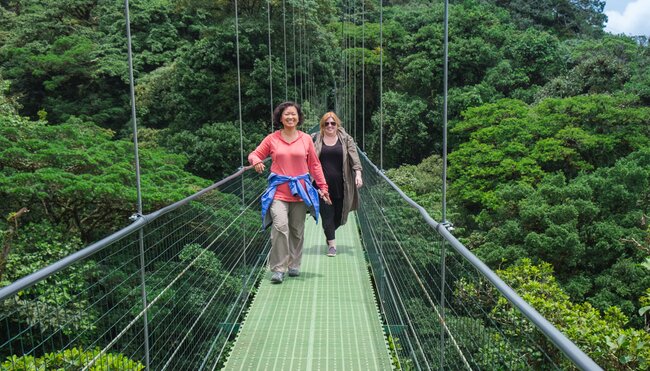 Intrepid travellers emerge from Monteverde cloud forest into the sunlight on a suspension bridge in Costa Rica