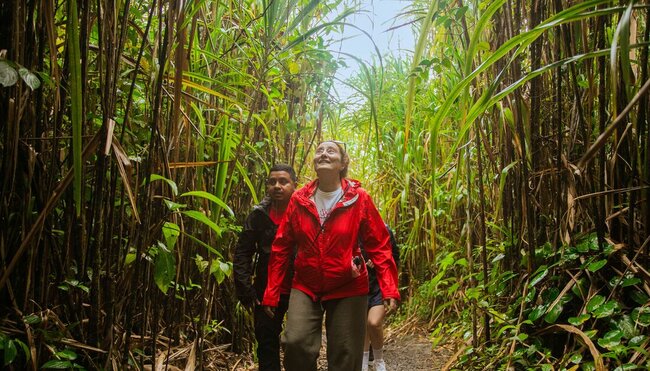 Premium Costa Rica: Tortuguero and Caribbean Coast - 1