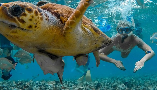 Real Central America - 18 to 29s small group adventure with Intrepid Travel