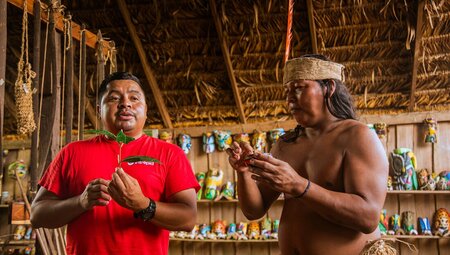 Learn about traditional crafts, culture, and reforestation from the Maleku on a community visit