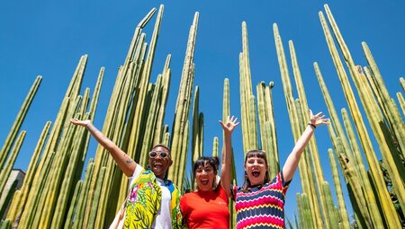 Share joyous moments in the incredible city of Oaxaca