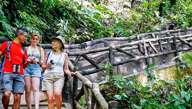 Enjoy a guided tour through La Fortuna's lush rainforest with our Leaders.