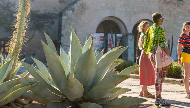 Group of travellers with their leader in Oaxaca city in Mexico