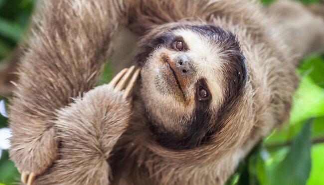 Experience the highlights of Central America with Peregrine Adventures