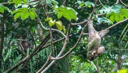 Costa Rica Experience - 3