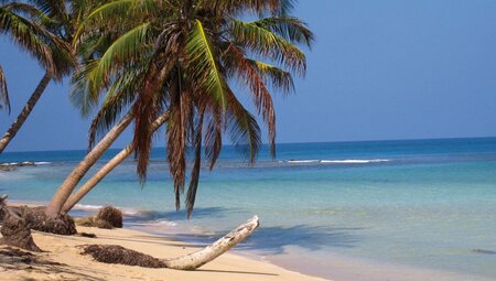 Sunny day on Costa Rican beach