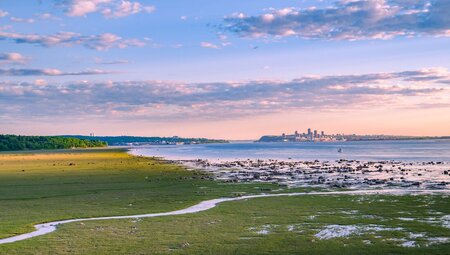 A tiny gentle stream from the ocean works its way onto a coastal plain on Ile d'Orleans with Quebec City vsible on the horizon
