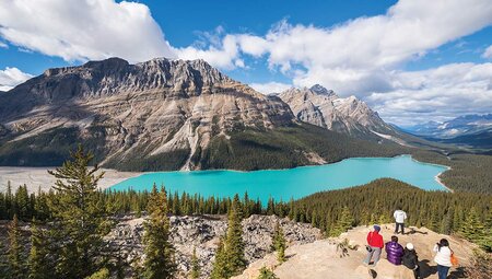 Group of travellers admiring Peyto lake and mountains in Calgary, Alberta