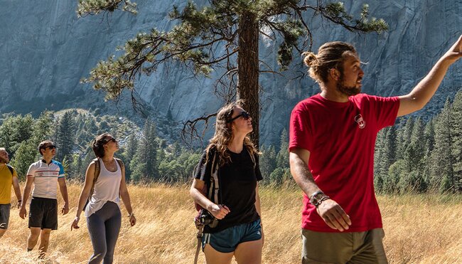 Group of travellers hiking in Yosemite NP with local guide
