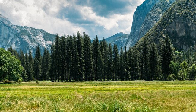 A hiker walking through Yosemite Valley, California, USA