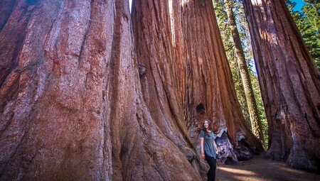 Traveller posing at Sequoia National Park, California, USA