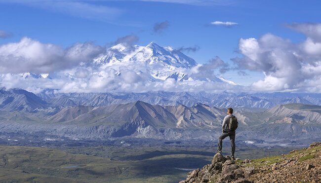SAXD - Hiker in front of mountains in Denali National Park, Alaska