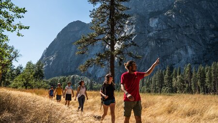 Leader points out a an area of interest while group hikes through Yosemite amidst light forest with mountains behind