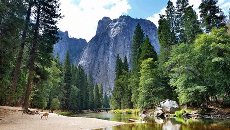 River view of Yosemite Valley, California, USA