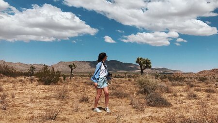 Intrepid traveller looks around at the alien landscape of Joshua Tree National Park