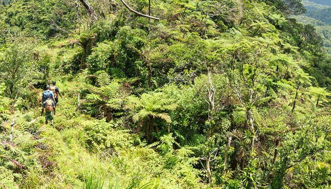 Trek through the highlands of Fiji with Intrepid Travel
