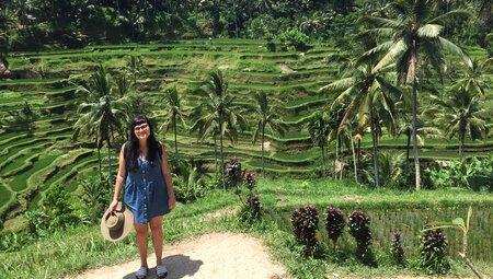 Ubud rice terraces in Bali
