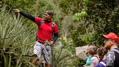 Intrepid leader gives nature talk near Kota Kinabalu in northern Borneo