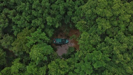 TMPB - Borneo Feature Stay: Kingabangtan Wetlands Resort aerial view of boat surrounded by trees