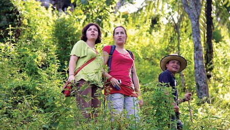 TMPB - Group trekking around forest jungle with local guide