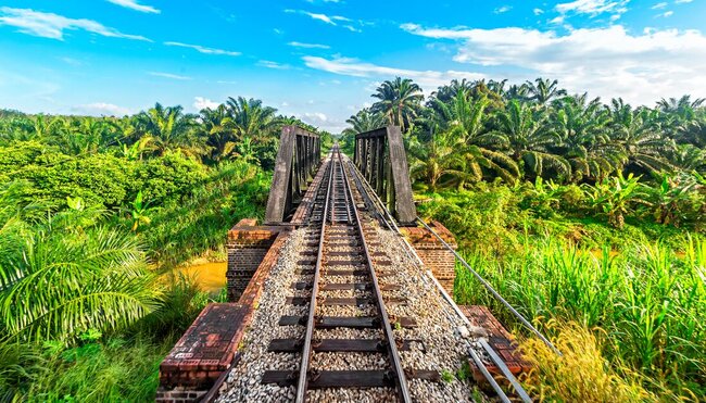 Train tracks lead across a small bridge through the jungle rainforest of Malaysia