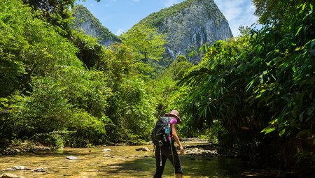 Garden of Eden walk in Mulu National Park, Borneo