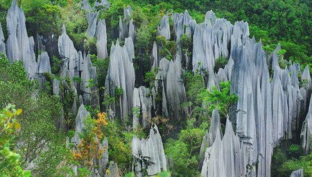 Landscape of rock shards surrounded by dense forest in Mulu National Park, Sarawak, East Malaysia