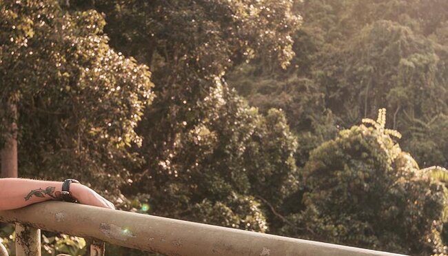 borneo forest traveller