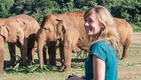 Traveller smiles back at others with asian elephants in a sanctuary in Chiang Mai