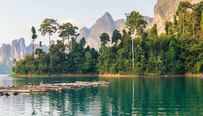thailand kao sok mountains jungle