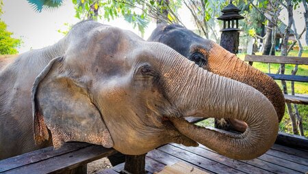 Simply Northern Thailand - 3