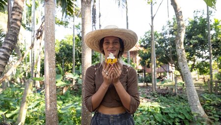 Fresh cocoa fruit with whipped cream on a farm in Thailand's countryside