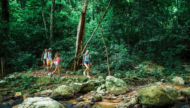 In the rainforests of Phong Nha on the way to Lu Tan Cave
