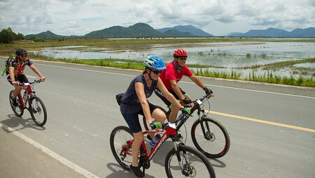 Enjoy the beautiful scenery in Vietnam from the comfort of a bicycle