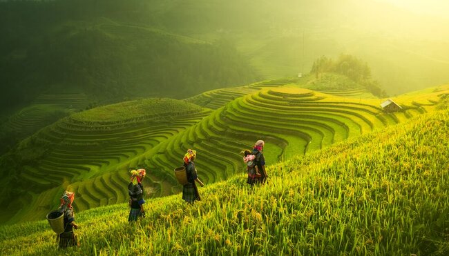 Locals with Horseshoe Terrace views in north Vietnam