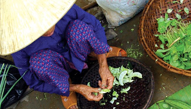 Local vietnamese woman with vegetables