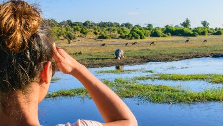 Chobe National Park, Botswana