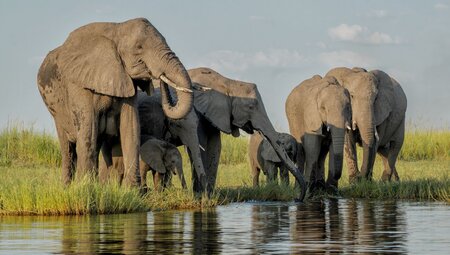 Premium Botswana & Namibia - 2