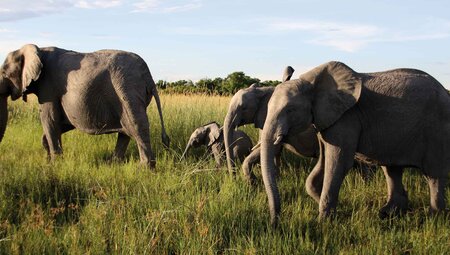 Premium Southern Africa in Depth - 2