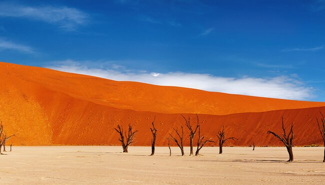 UBPN - Red sand desert Sossusvlei, Namibia